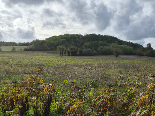 Terrain à bâtir à Parcoul-Chenaud (24410) — photo du bien