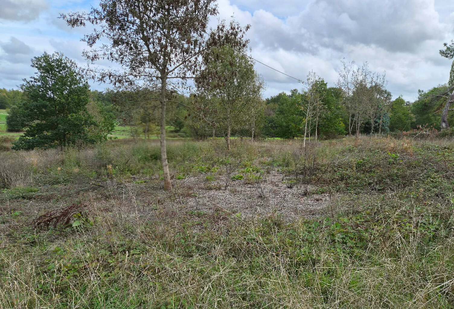 Terrain à bâtir à Saint Aulaye-Puymangou (24410) — photo 1