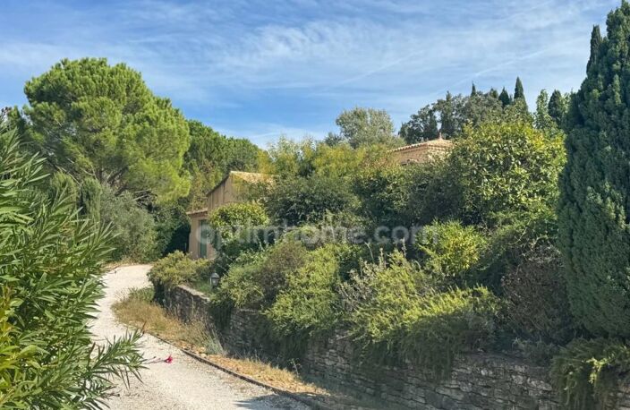 Saint-Rémy-de-Provence – Maison avec piscine, studio indépendant et terrain de 3 000 m² — photo 3
