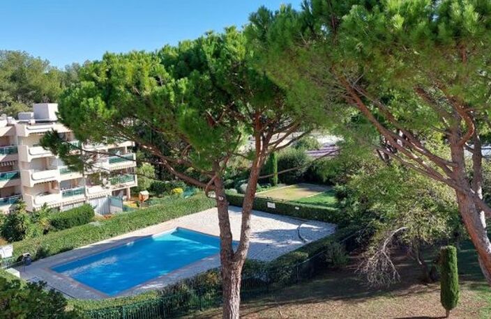 Studio de 23m2 à louer sur Antibes — photo 3