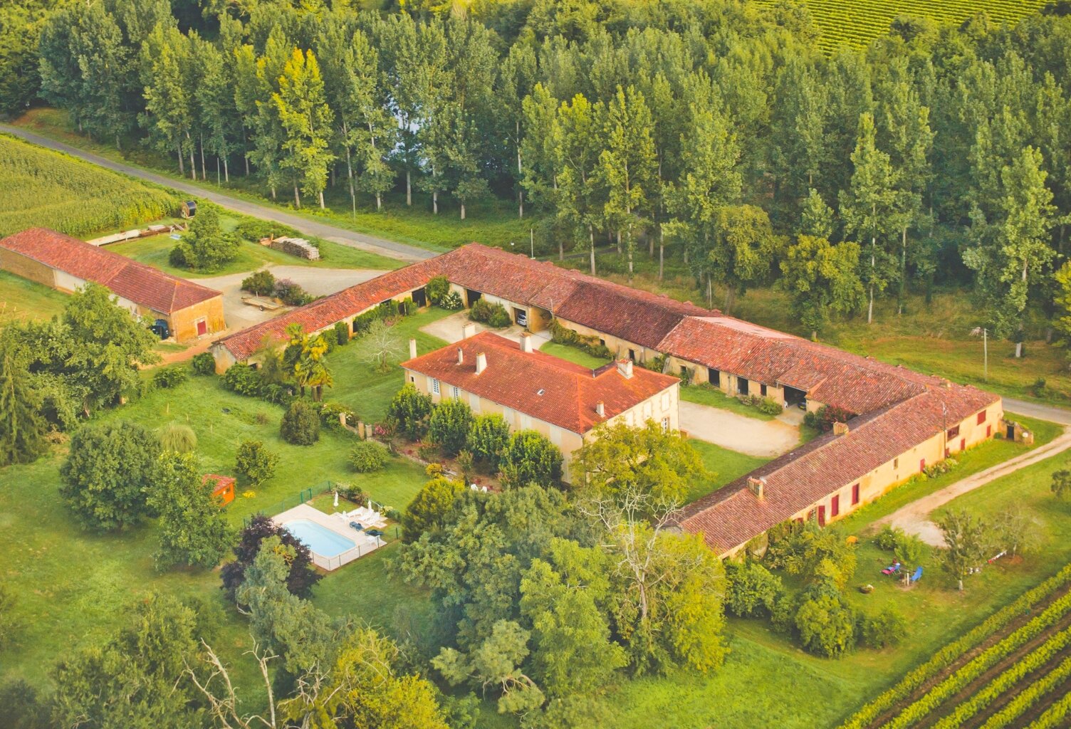 Château à vendre BAS ARMAGNAC (32) - Avec deux gîtes, dépendances, piscine et parc - 19 ha de vignes et terres — photo 1