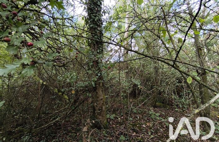 Vente Surface diverse 7 540 m&sup2; — photo 4