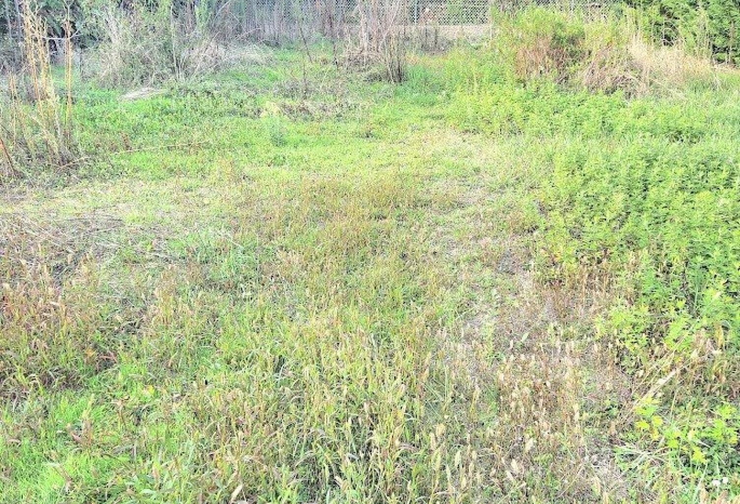 énorme potentiel — photo 1