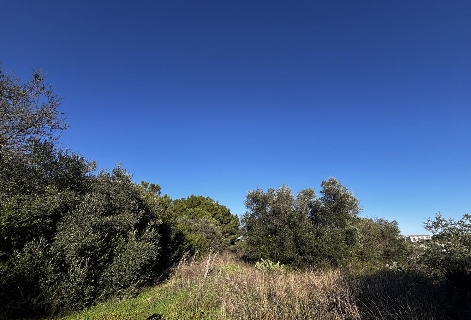 Terrain de loisir — photo 1