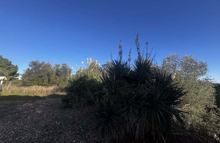 Terrain de loisir — photo 2