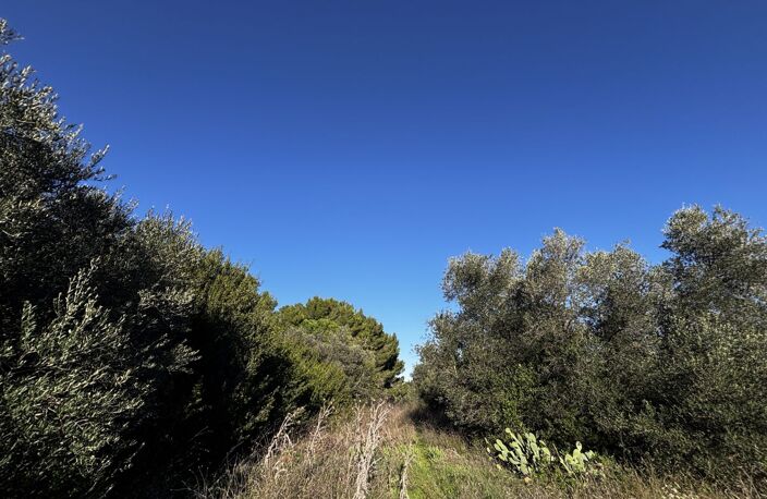 Terrain de loisir — photo 3