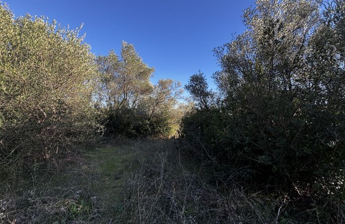 Terrain de loisir — photo 4