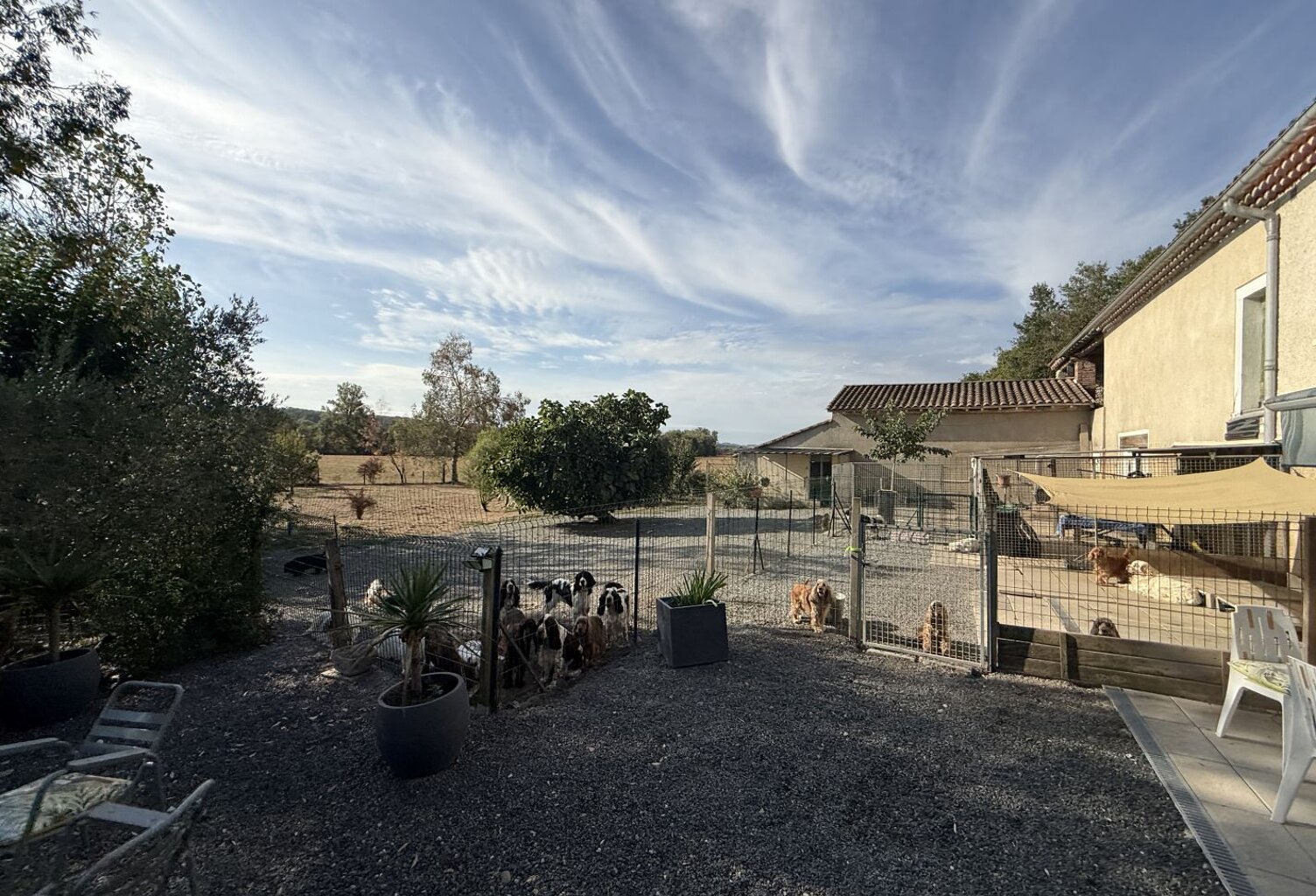Maison — photo 1