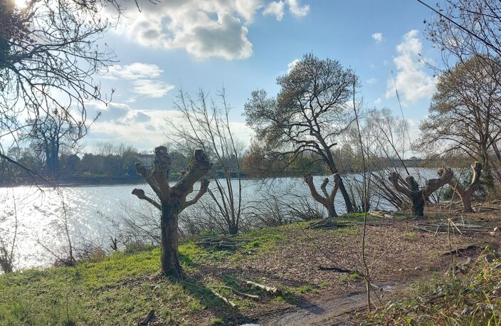 belle demeure en pierre — photo 3