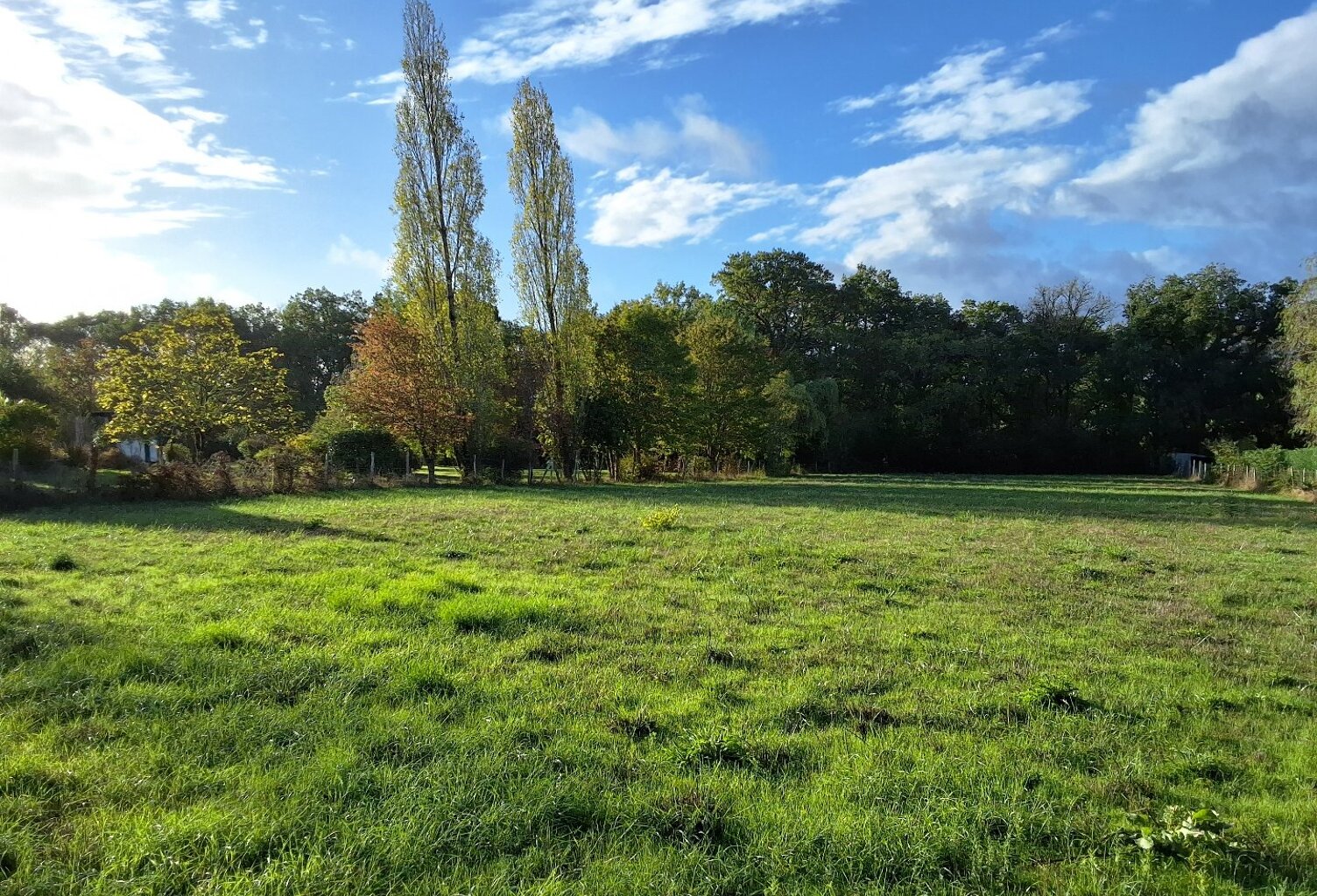 Terrain — photo 1