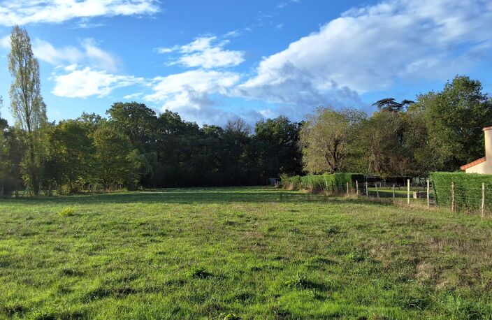 Terrain — photo 2