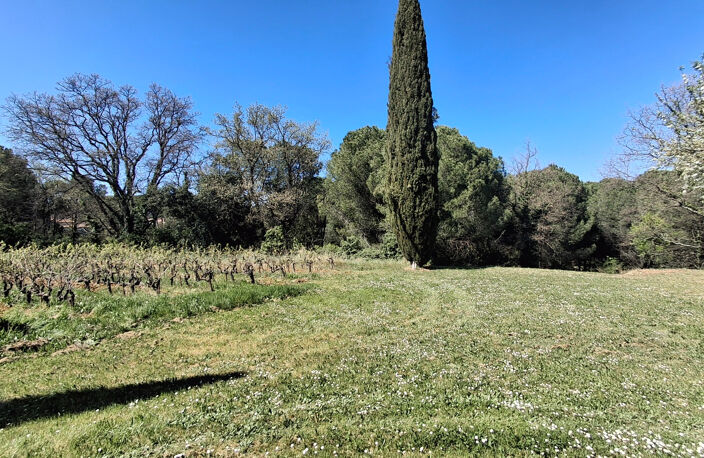 Exclusivité  , Saint Paulet de Caisson -  Mas restauré au calme sur 2 385 m² de terrain — photo 4