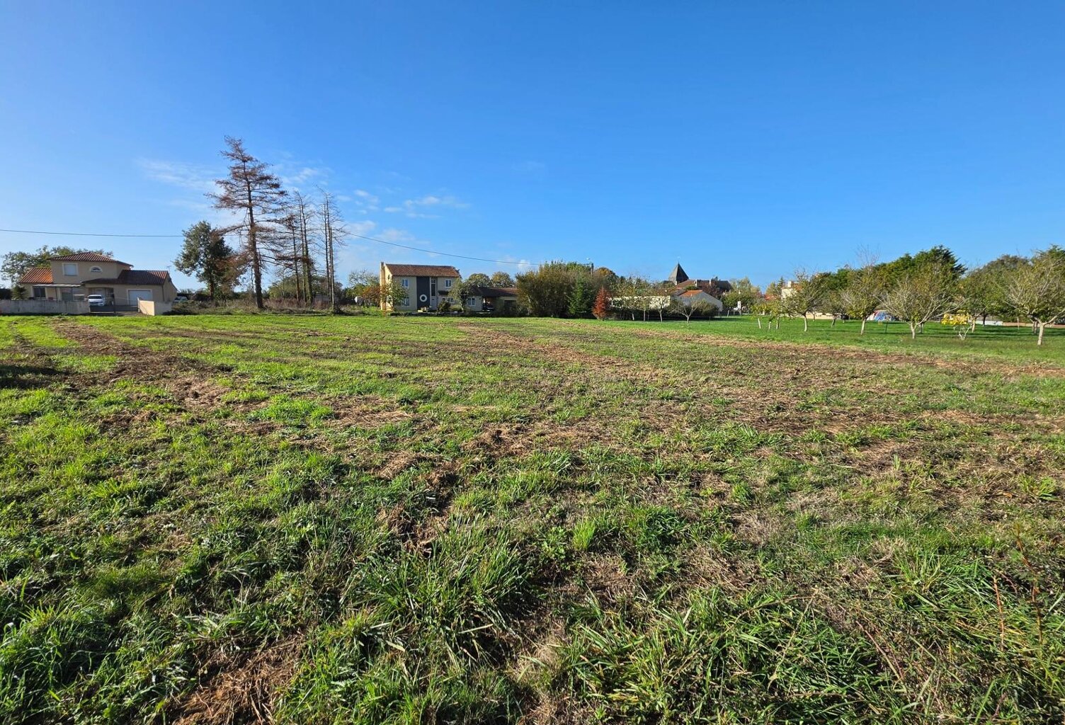 terrain borné — photo 1