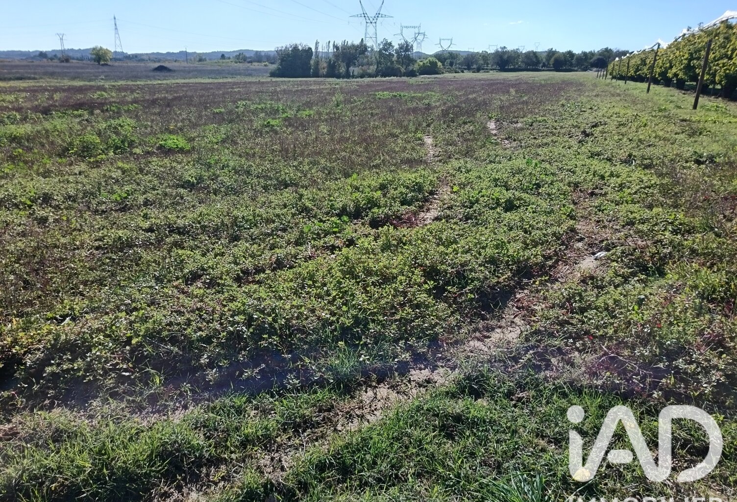 Vente Terrain agricole 4 293 m&sup2; — photo 1