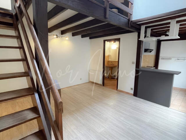 NANCY - APPARTEMENT T1BIS 26,10m2 - INDEPENDANT AVEC COUR — photo du bien