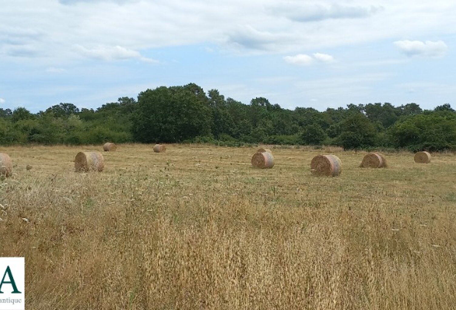 Terrain à bâtir à Eygurande-et-Gardedeuil (24700) — photo 1