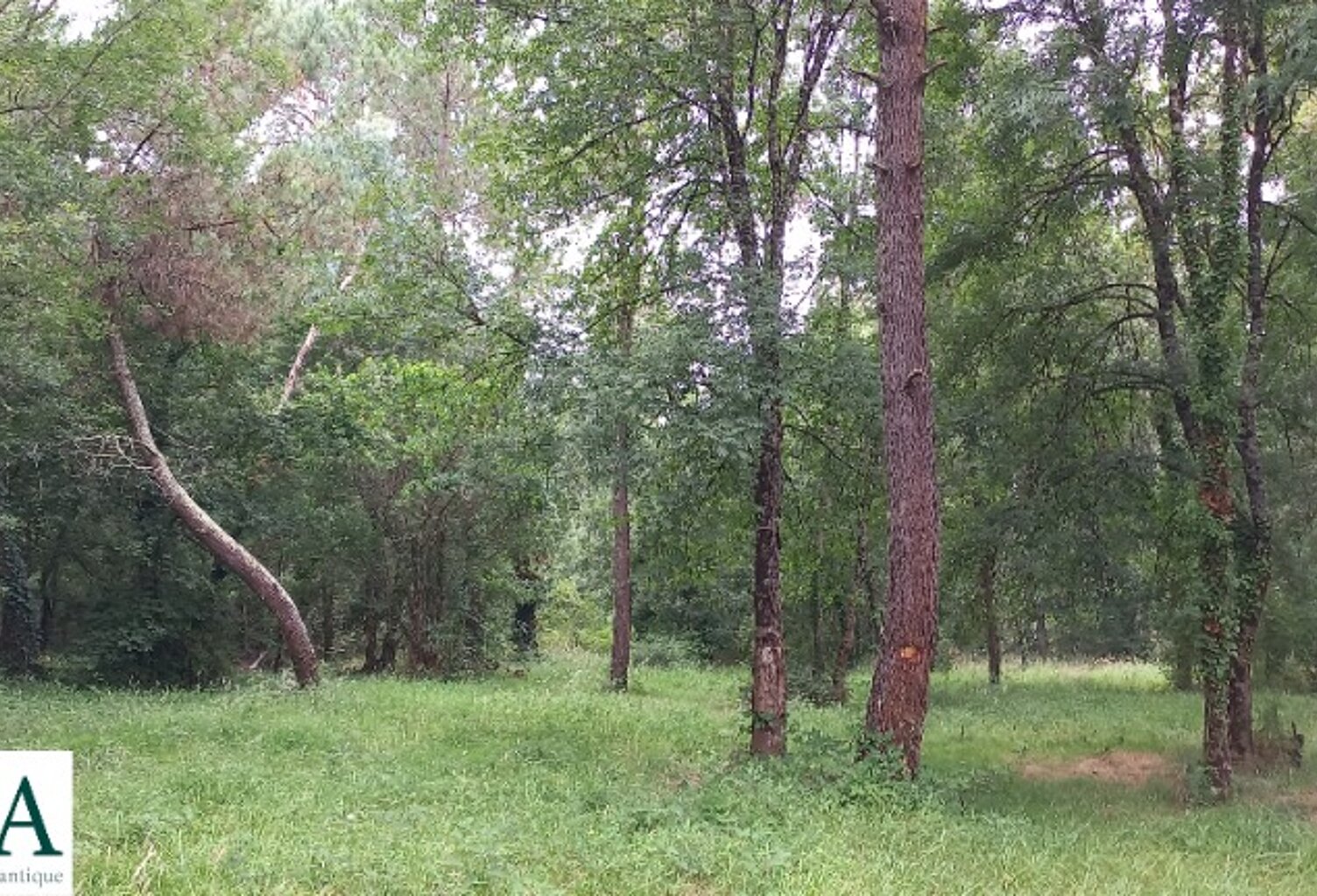 Terrain à bâtir à Ménesplet (24700) — photo 1