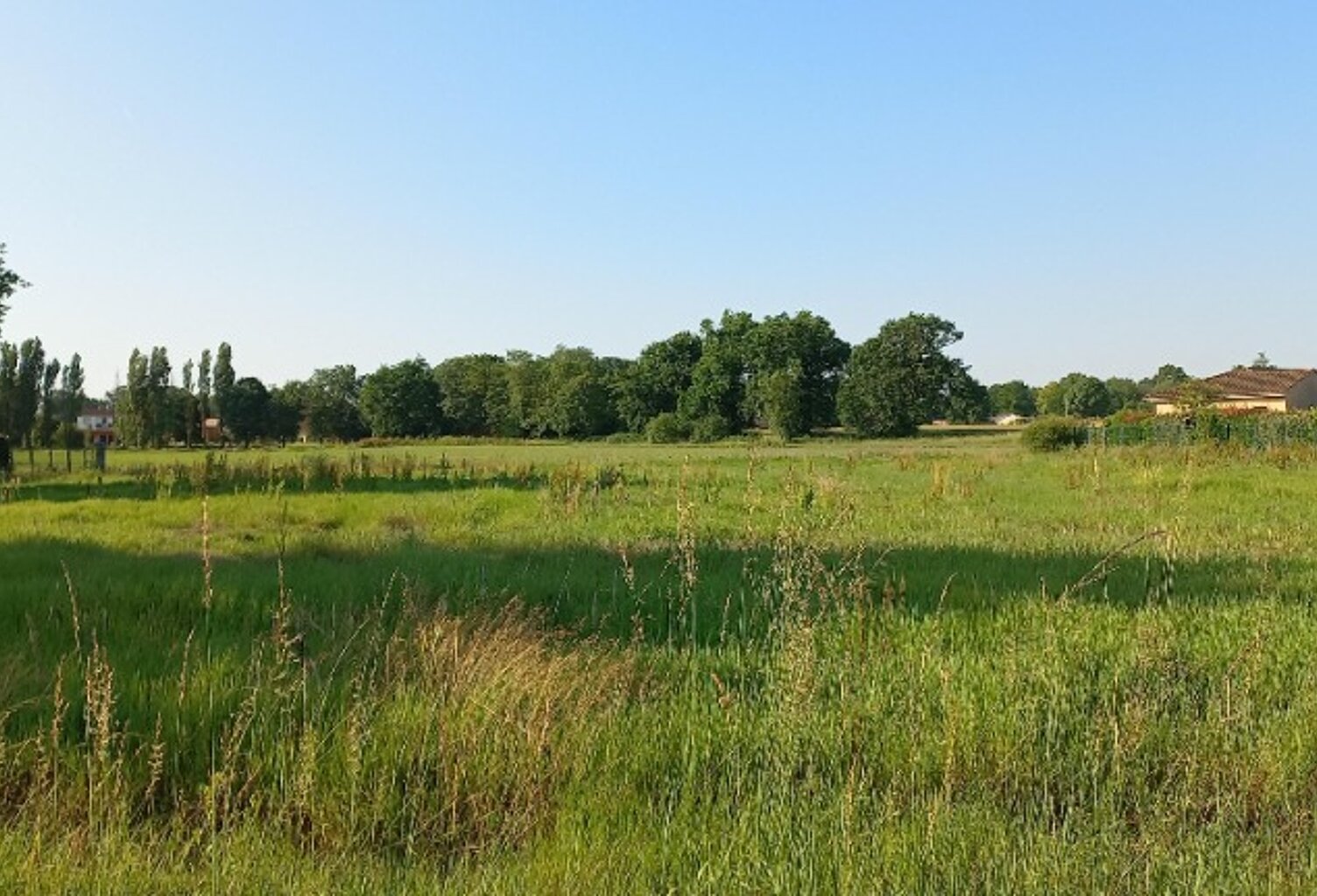 Terrain à bâtir à Montpon-Ménestérol (24700) — photo 1