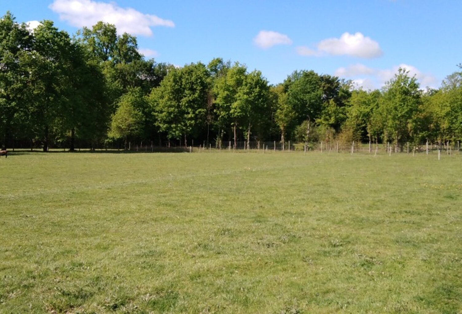 Terrain à bâtir à Beaupouyet (24400) — photo 1