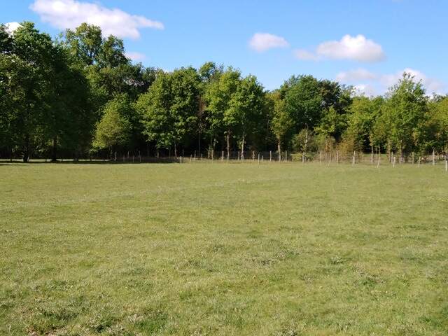 Terrain à bâtir à Beaupouyet (24400) — photo du bien