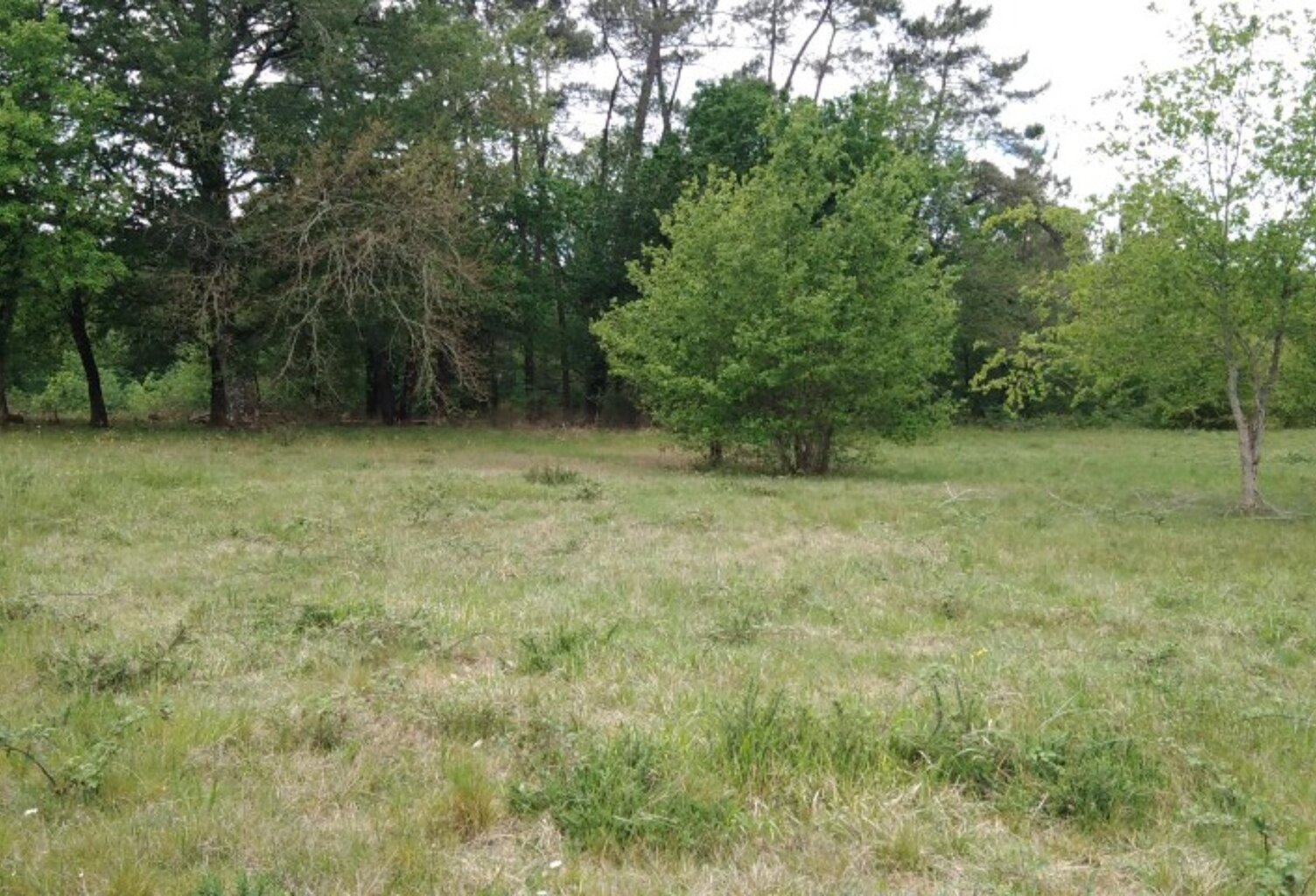 Terrain à bâtir à Saint-Barthélemy-de-Bellegarde (24700) — photo 1