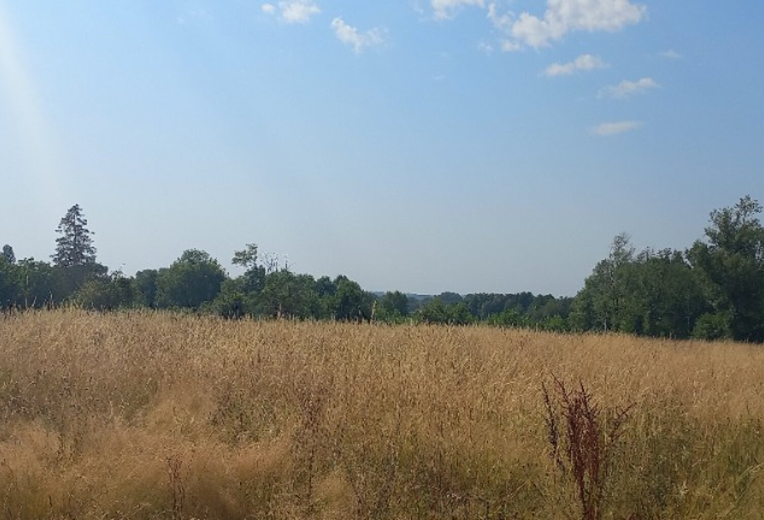 Terrain à bâtir à Saint-Martin-l'Astier (24400) — photo 1