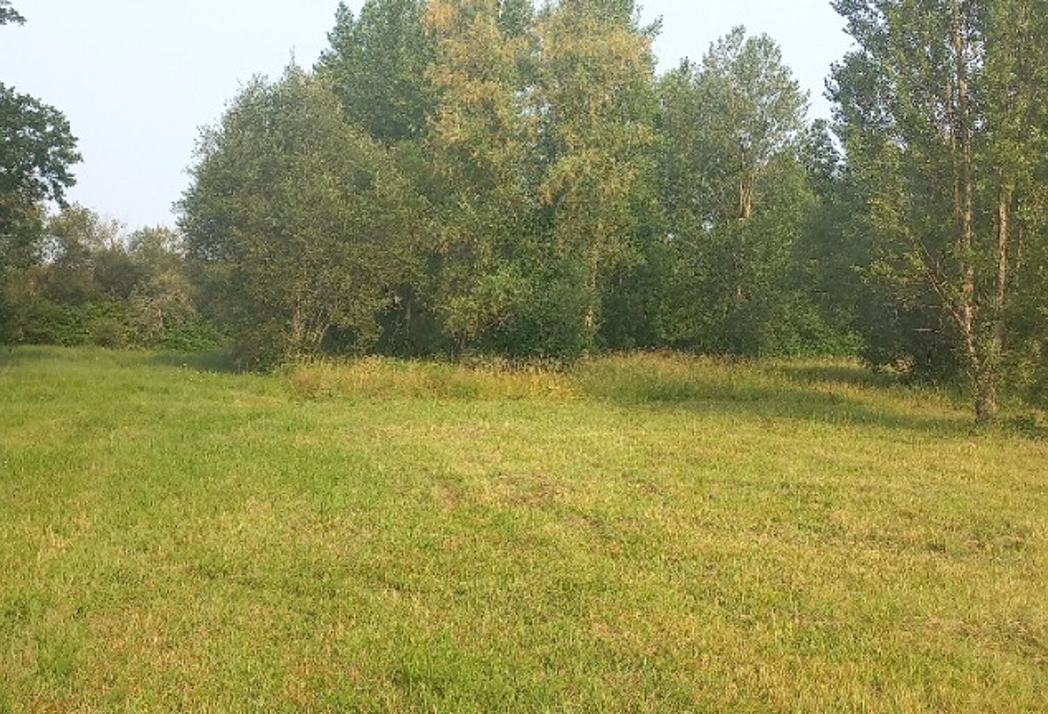 Terrain à bâtir à Ménesplet (24700) — photo 1