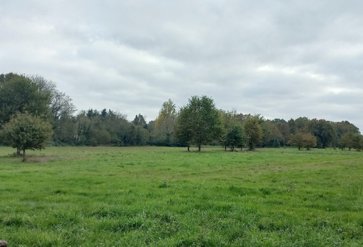 Terrain à bâtir à Ménesplet (24700) — photo 1