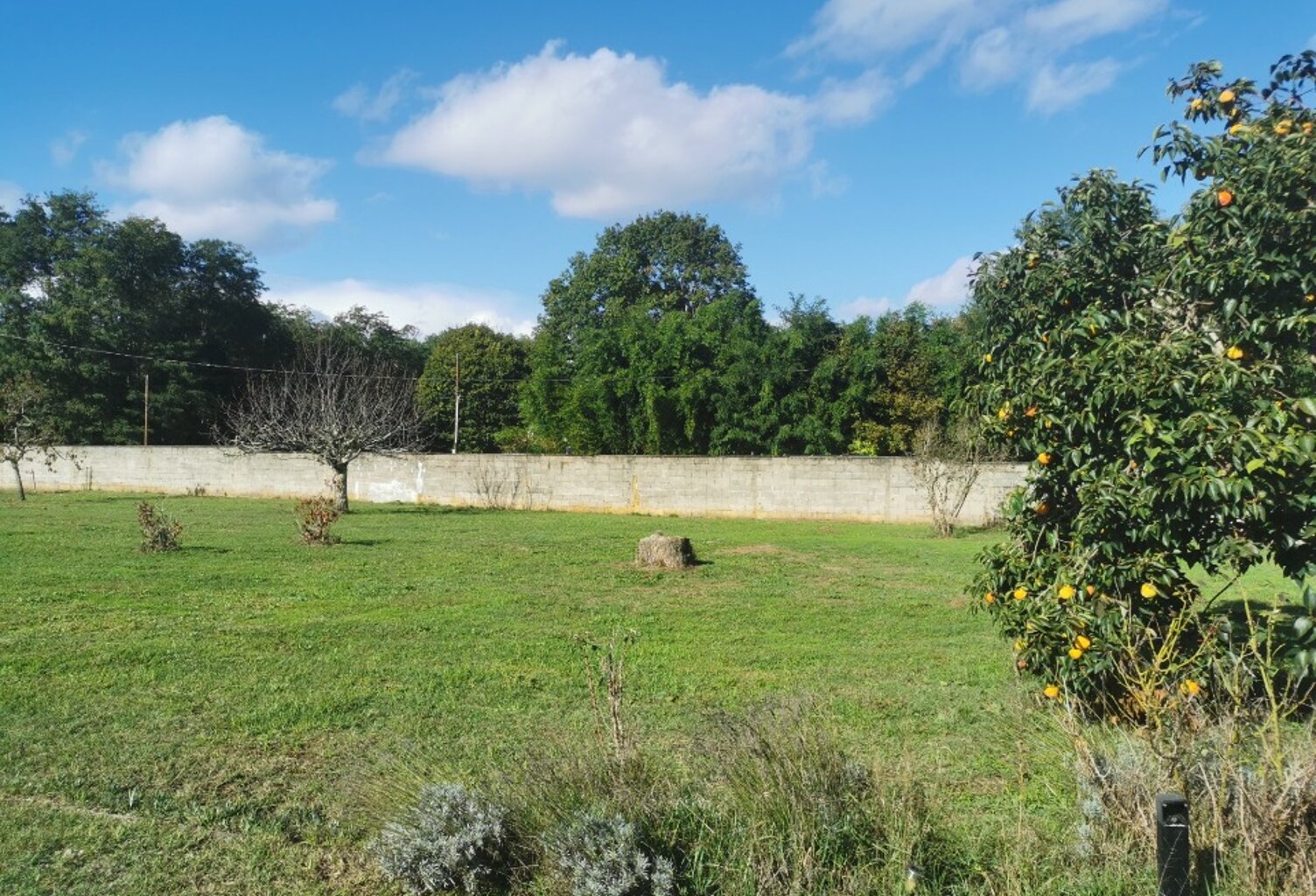 Terrain à bâtir à Saint-Michel-de-Rieufret (33720) — photo 1