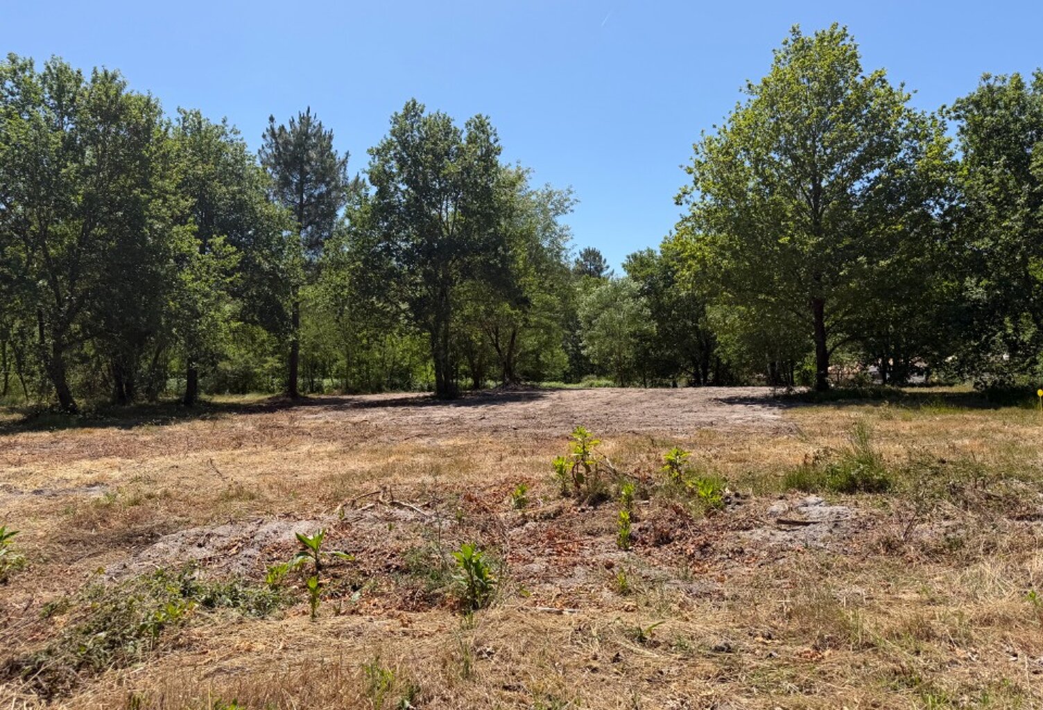 Terrain à bâtir à Balizac (33730) — photo 1