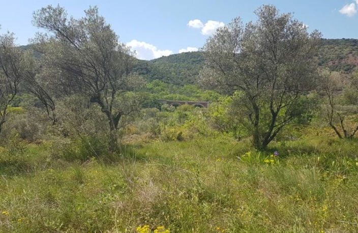 Terrain Ceyras 2632 m2 + Mazet de 77m² — photo 3