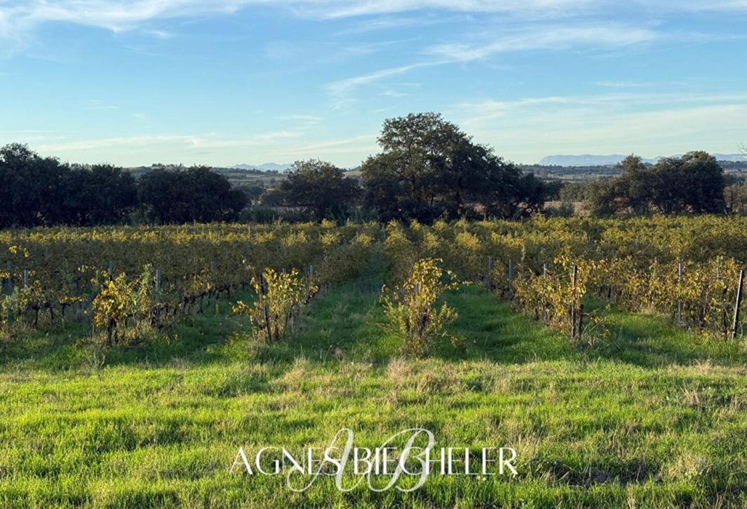 Terrain agricole ou de loisirs 12.000 m² — photo 1