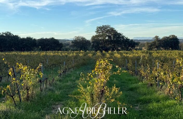 Terrain agricole ou de loisirs 12.000 m² — photo 2