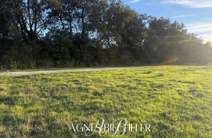 Terrain agricole ou de loisirs 12.000 m² — photo 3