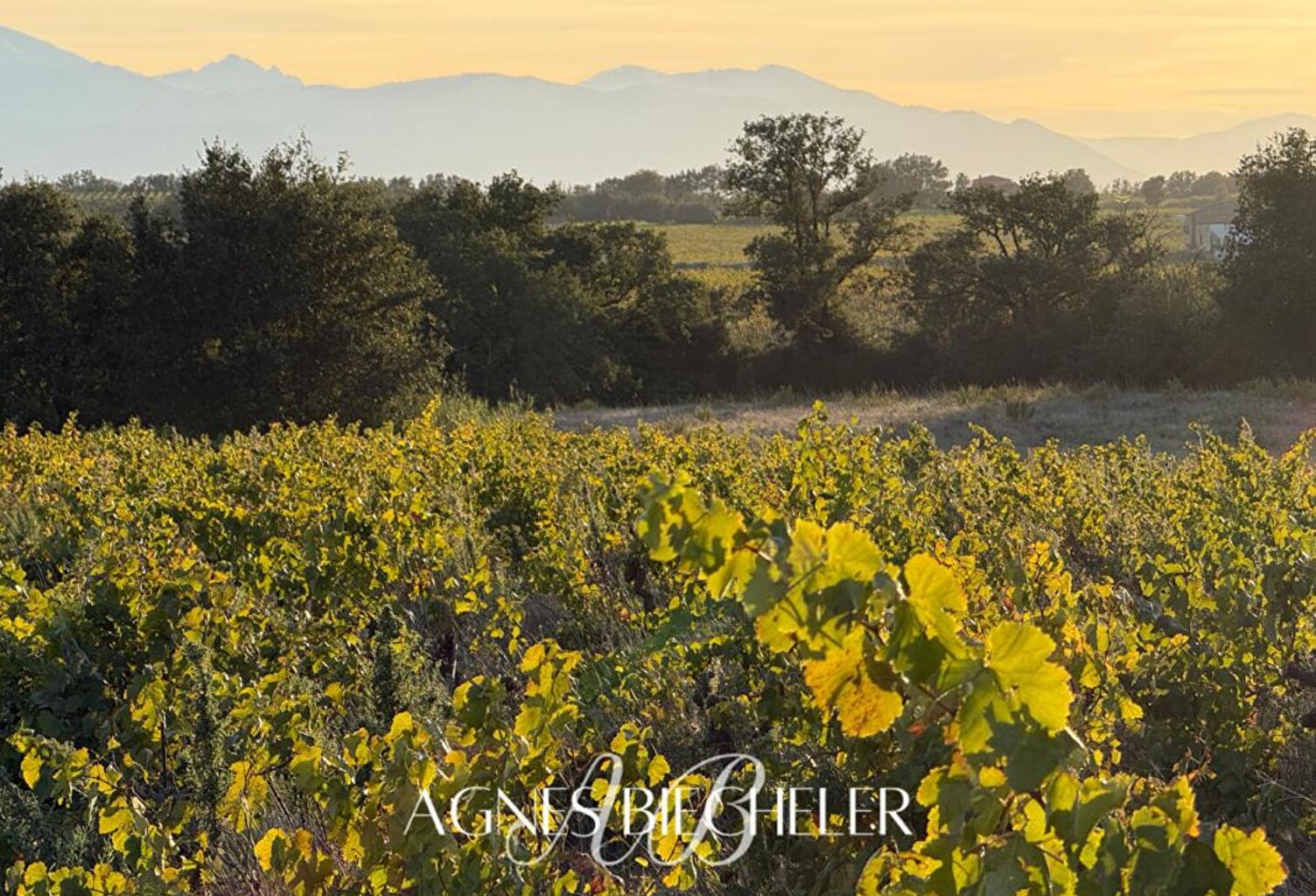 Terrain agricole ou de loisirs de 5700 m² — photo 1