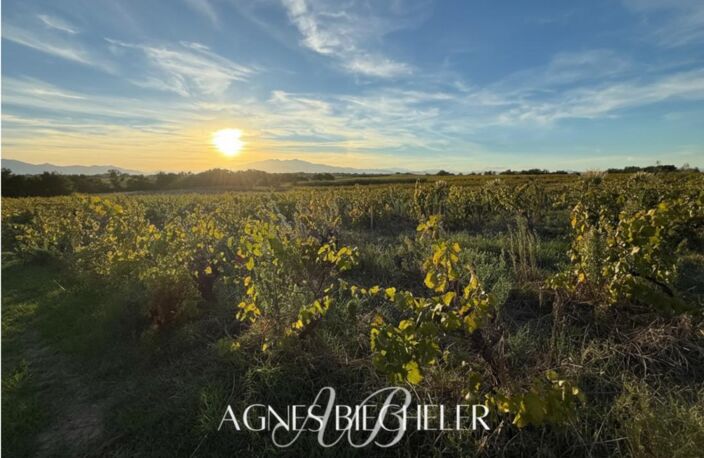 Terrain agricole ou de loisirs de 5700 m² — photo 2