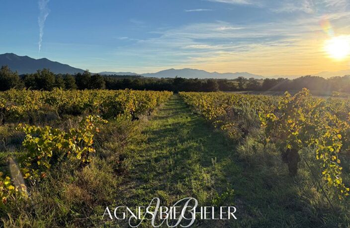 Terrain agricole ou de loisirs de 5700 m² — photo 3