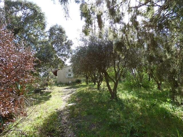 Terrain 500 m²  ROCHEFORT DU GARD   129 000 — photo du bien