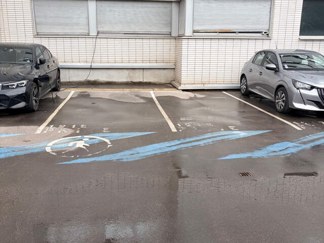 LYON 7 GARIBALDI PARKING EXTERIEUR A VENDRE PORTAIL SECURISE — photo du bien