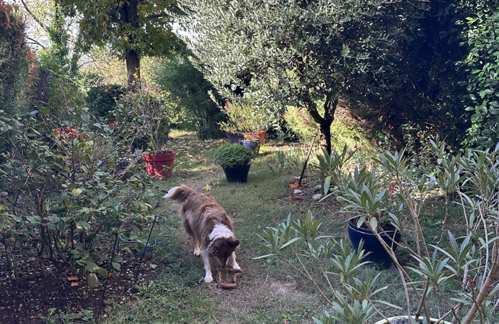VENTE A TERME OCCUPEE — photo 3