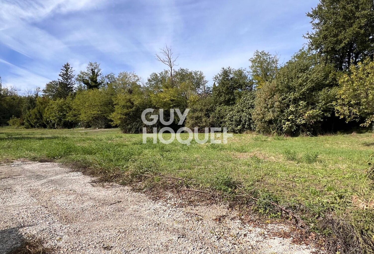 terrain — photo 1