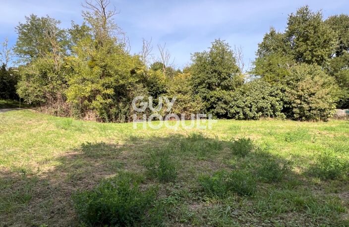 terrain — photo 4
