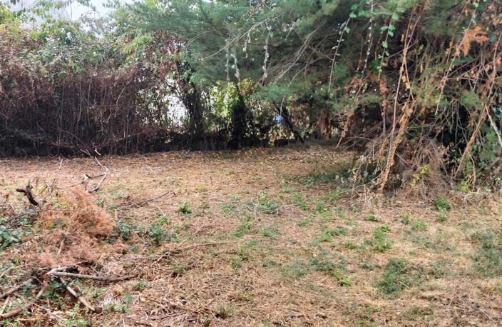 700 m2 de terrain pour un nouveau départ — photo 2