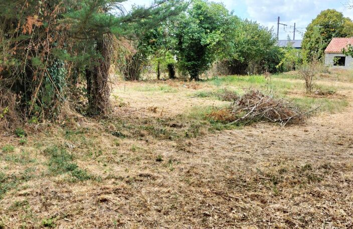 700 m2 de terrain pour un nouveau départ — photo 4