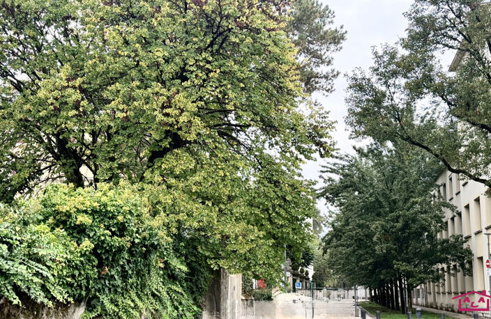 F3 avec garage - Rue des Écoles — photo 2