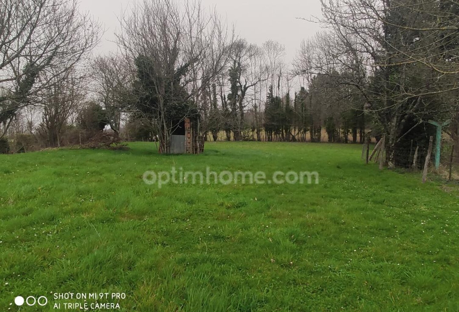 Commune de Mazerolles, L'Arbre. Beau terrain arboré avec CU de 1620 m² — photo 1