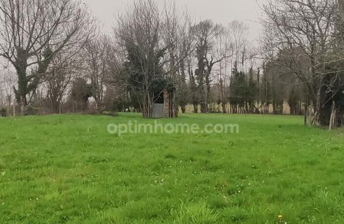 Commune de Mazerolles, L'Arbre. Beau terrain arboré avec CU de 1620 m² — photo 2