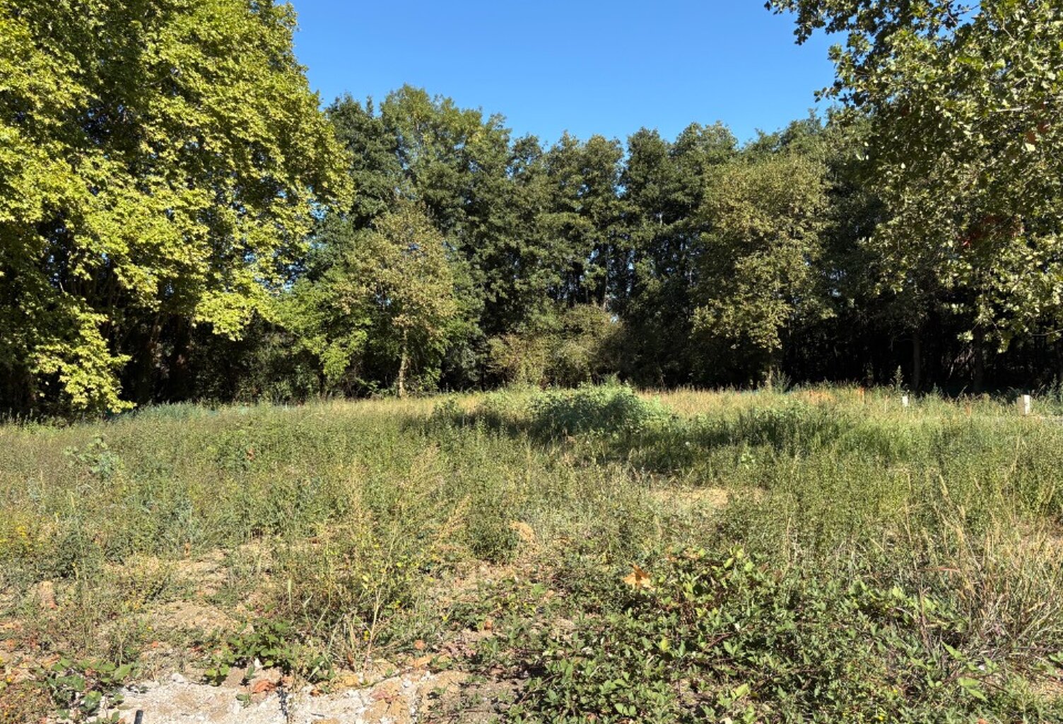 Terrain à bâtir à Martillac (33650) — photo 1