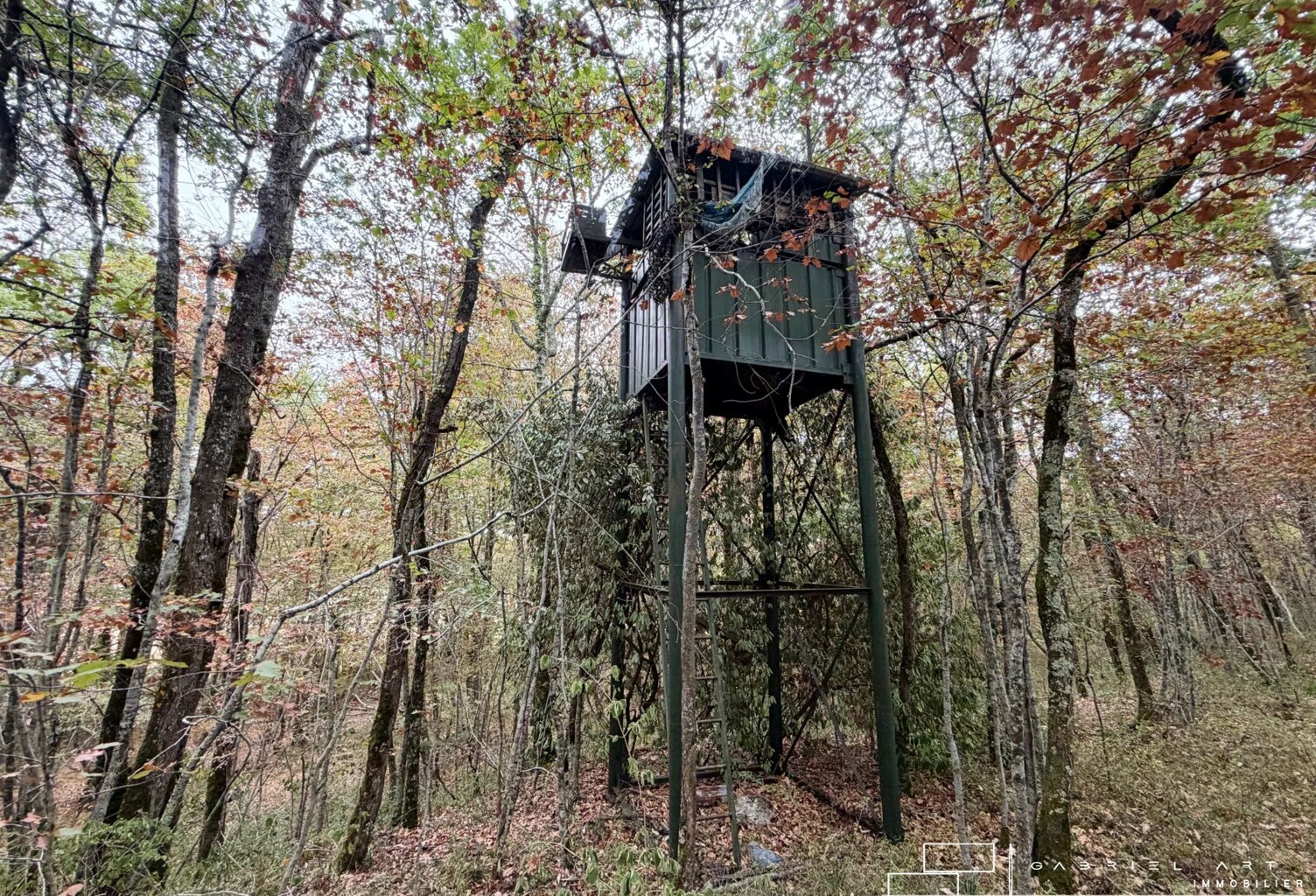 BOIS AVEC PALOMBIÈRE — photo 1