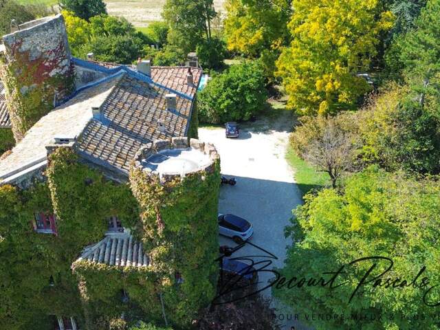Appartement  dans un château du 16ème siècle Le Pontet 5 pièce(s) 184 m2 piscine et parc — photo du bien